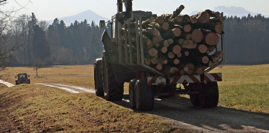 Forestry industry must remain vigilant