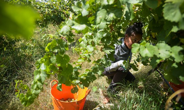 Victoria to introduce labour hire licensing scheme to stem exploitation