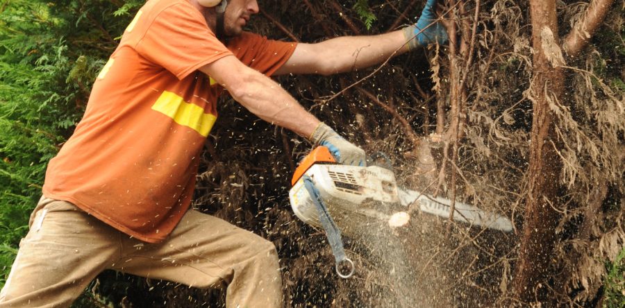 Forest safety leaders look to culture and technology solutions